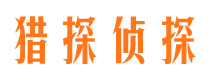 岳阳楼侦探公司